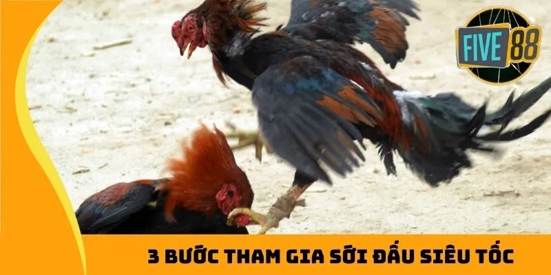 3 bước tham gia sới đấu siêu tốc