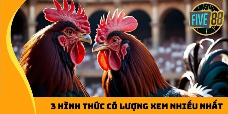 3 hình thức đá gà Thomo có lượng xem nhiều nhất