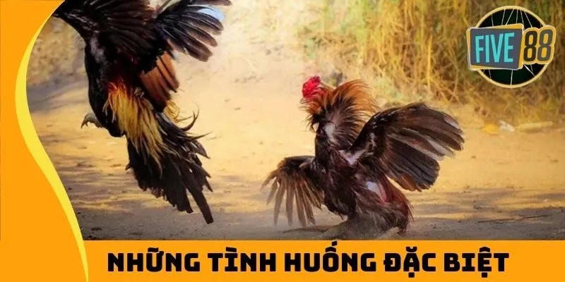 Các tình huống đặc biệt trong trận chiến