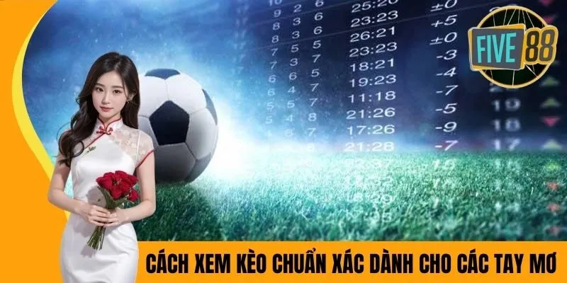 Cách xem kèo chuẩn xác dành cho các tay mơ