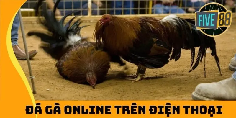 Các mẹo gà online trên điện thoại từ cao thủ Five88