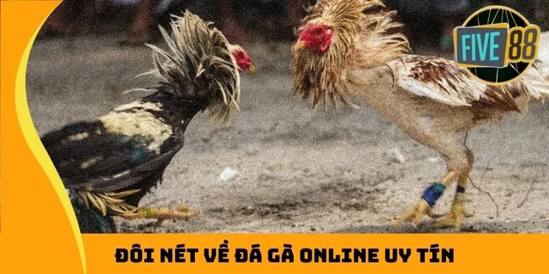 Đôi nét về đá gà online uy tín