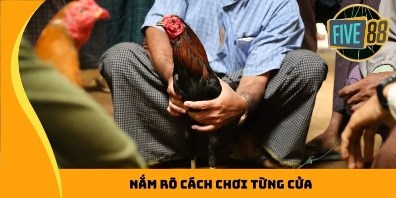 Nắm rõ cách chơi từng cửa