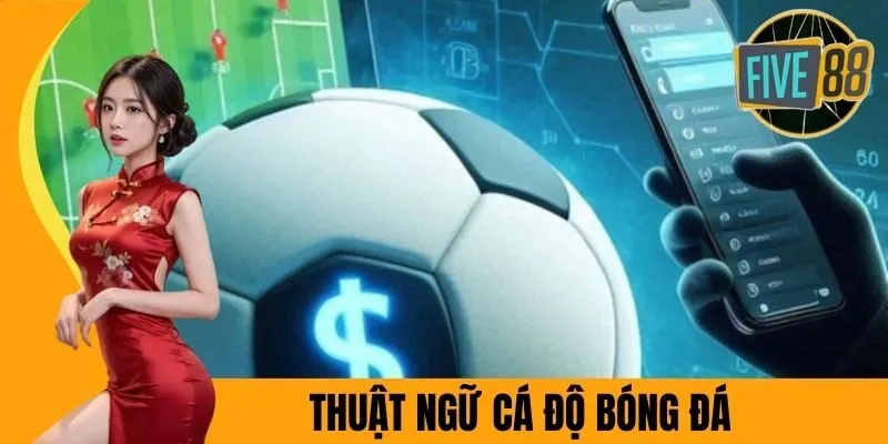 Thuật Ngữ Cá Độ Bóng Đá - Cẩm Nang Dành Cho Tân Binh