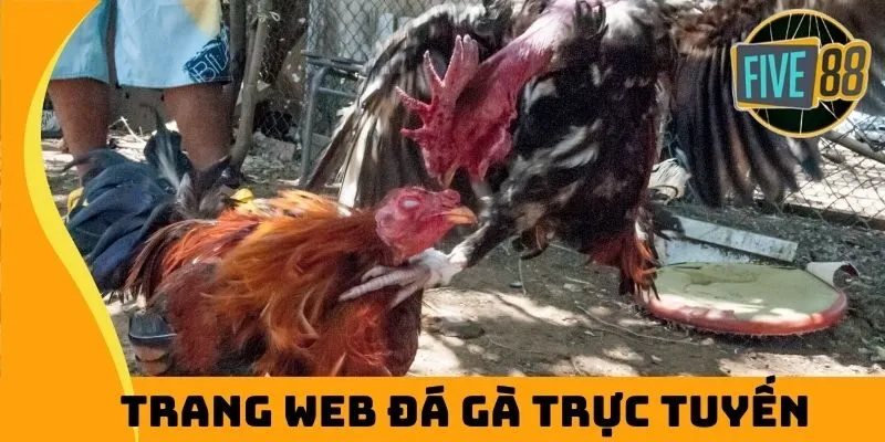 Giới thiệu trang web đá gà trực tuyến uy tín nhất 2025